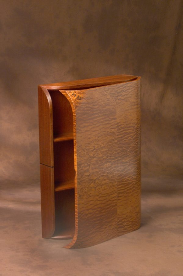 Turtle Shell Wall Cabinet