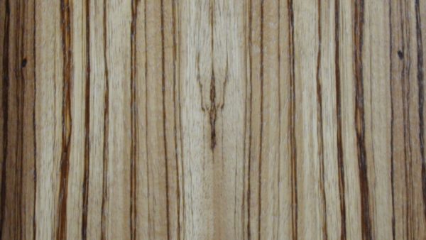 Zebrawood